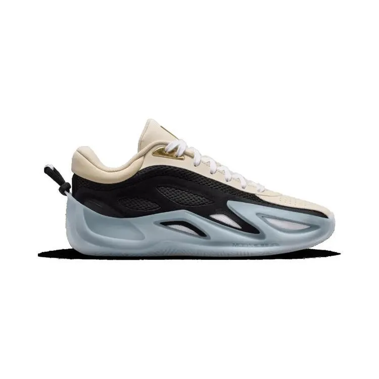 Wmns Air Jordan Heir Series 2 'WNBA'