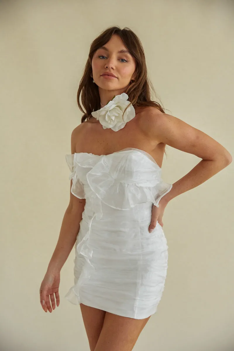 Sam Ruched Organza Bodycon Mini Dress