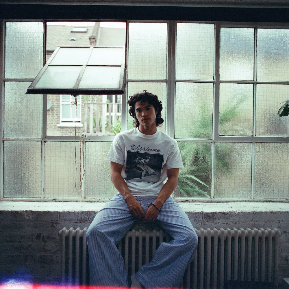 Conan Gray Wishbone Album Cover White T-Shirt - 2