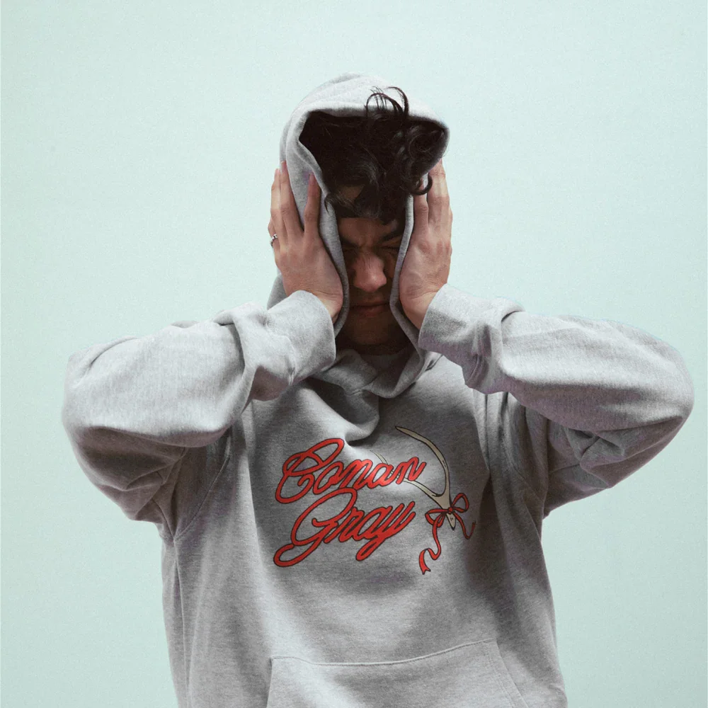 Conan Gray Ribbon Wishbone Hoodie