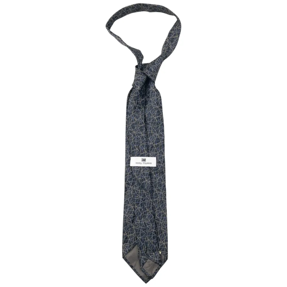 Vintage 90s Issey Miyake Pattern Silk Tie - 2