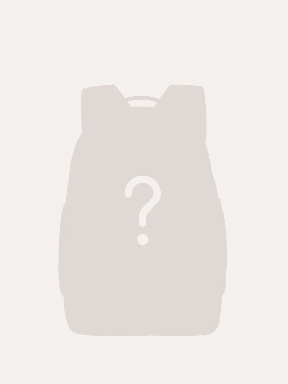Backpack Mystery Box