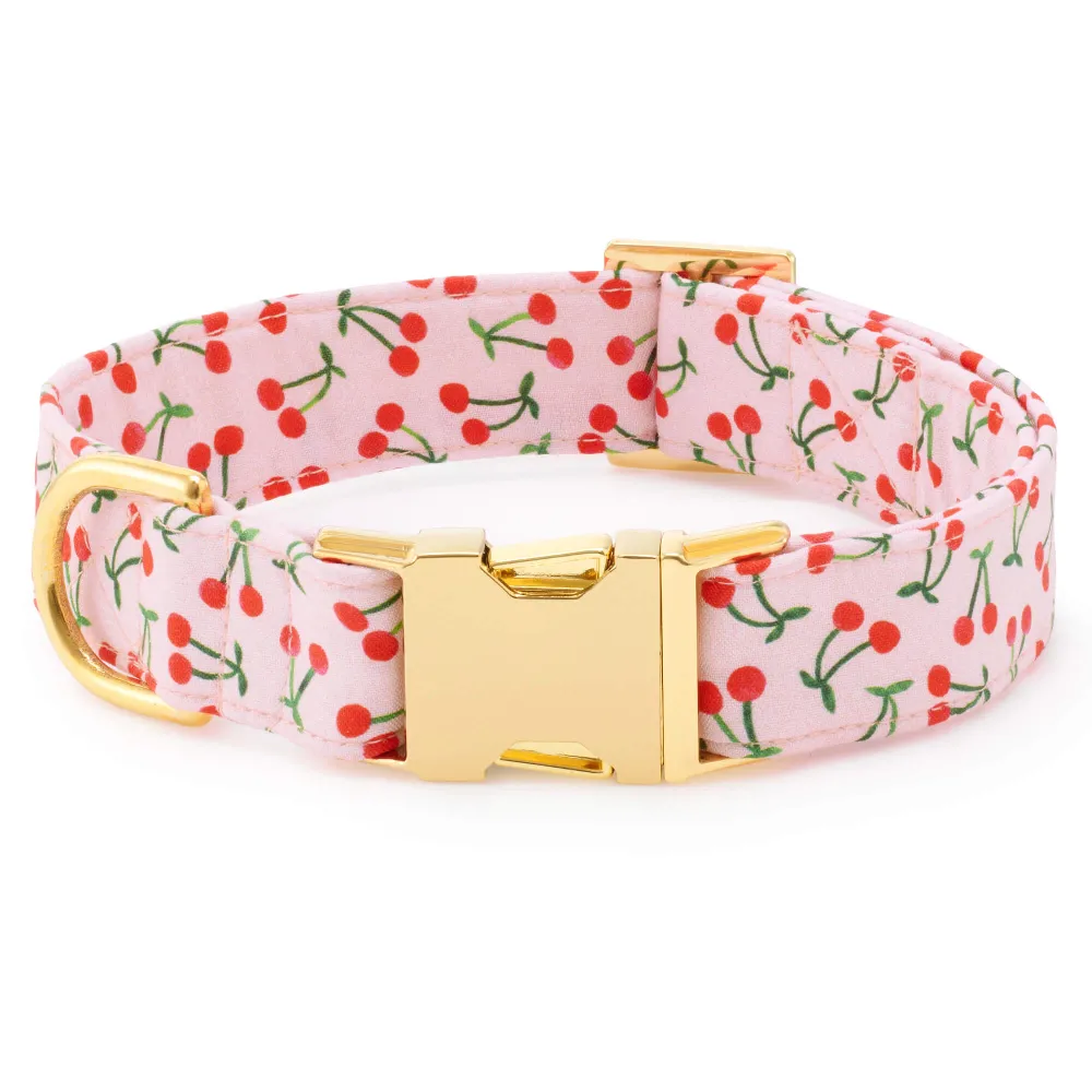 Cherry Jubilee Collar Walk Set - 2