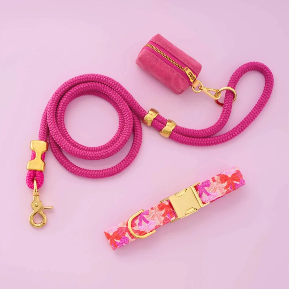 Take a Bow Collar Walk Set - 3