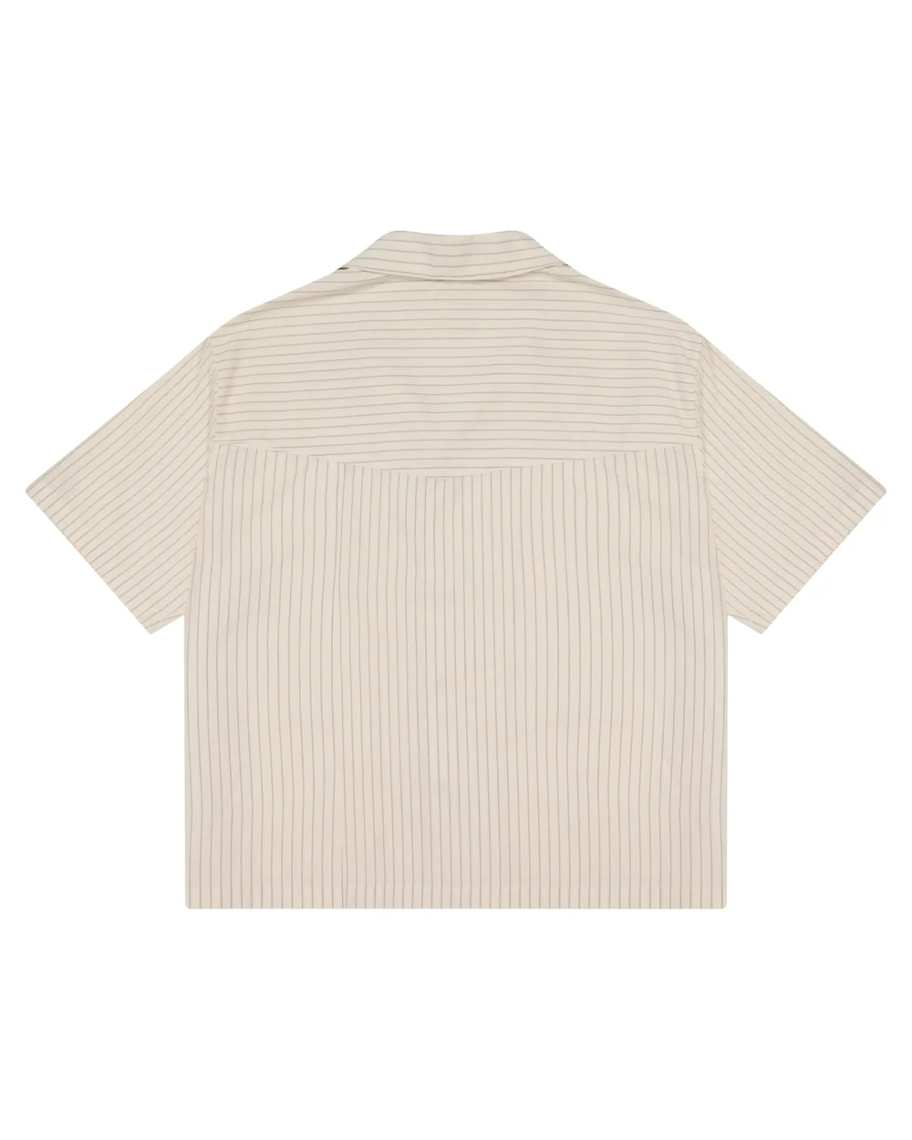 Pinstripe Button up - 4