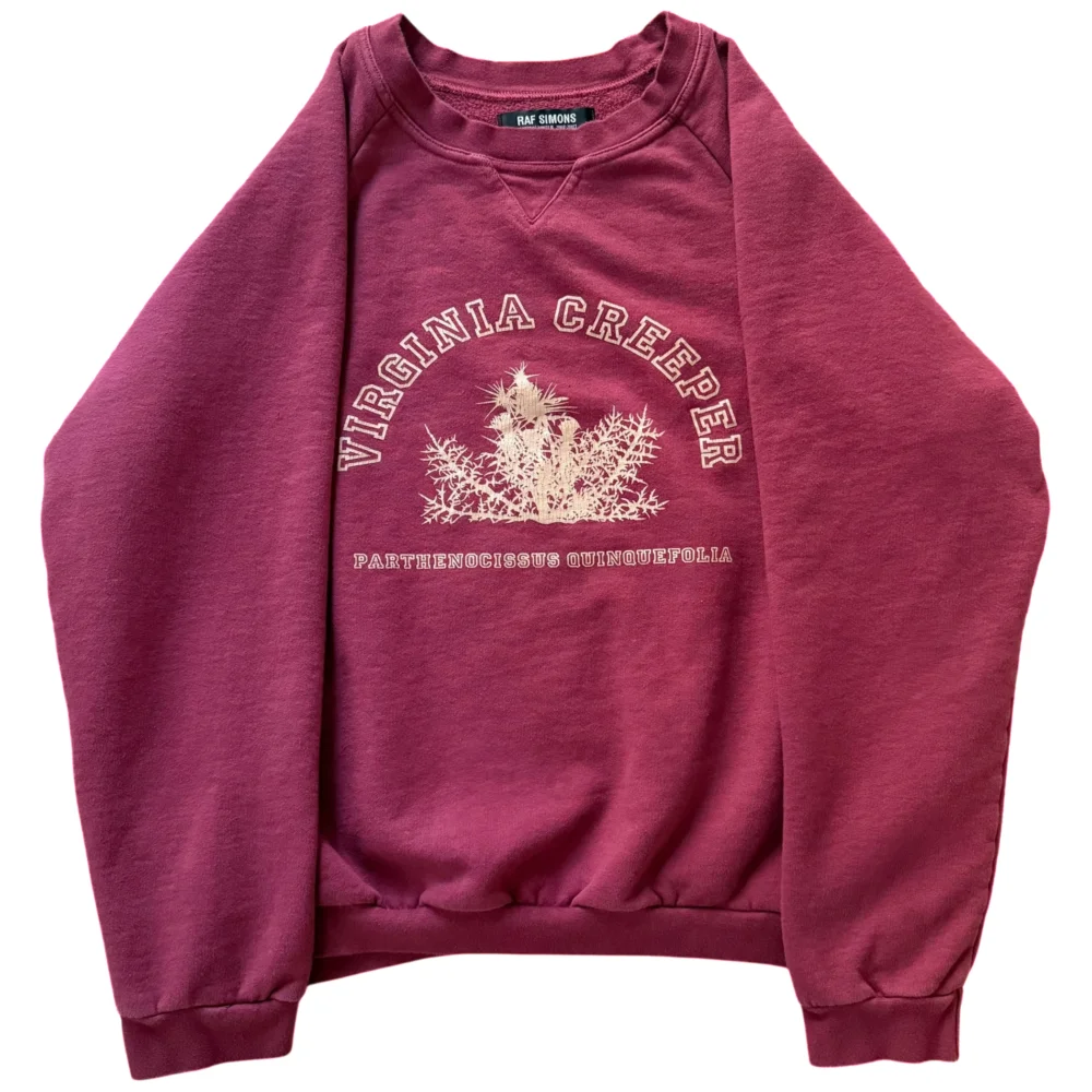 Raf Simons Virginia Creeper Crewneck