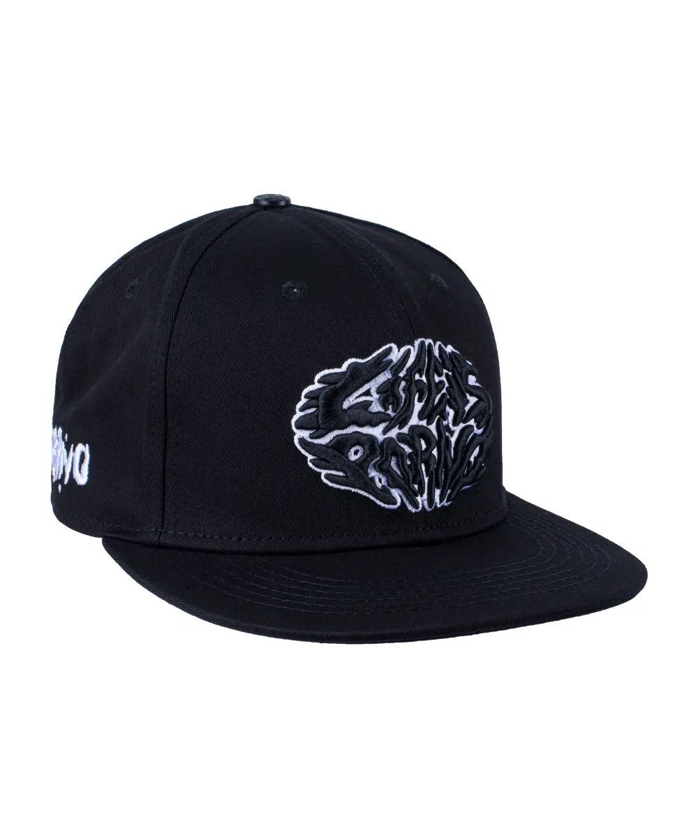 SPIDER FLAT CAP