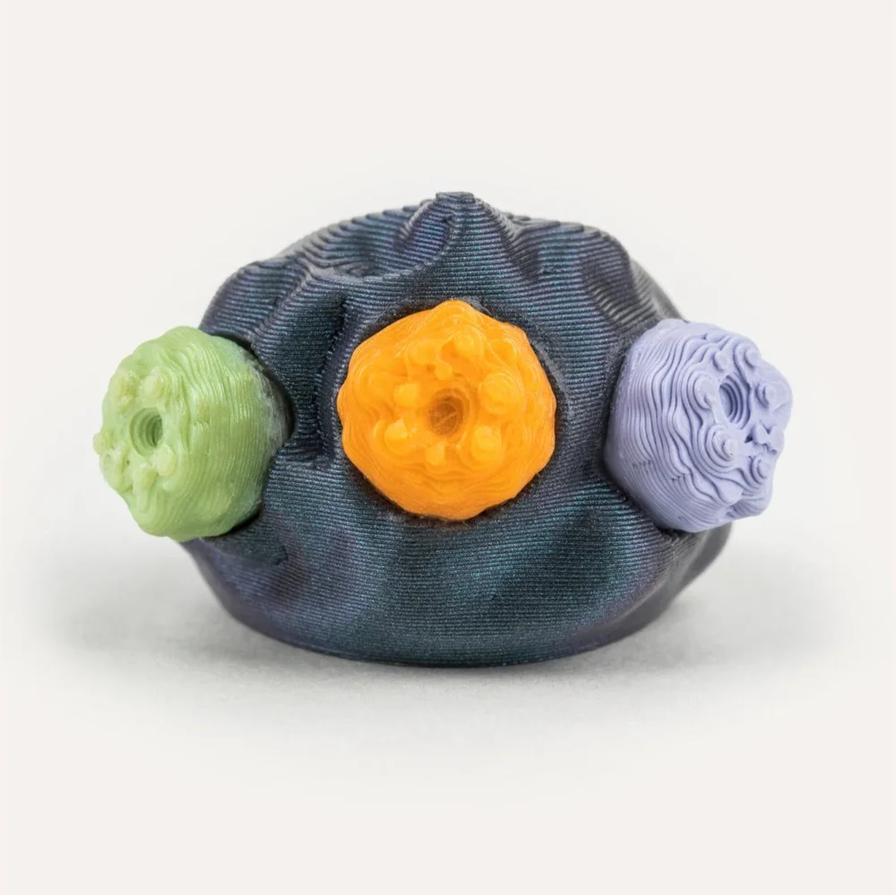 Anémona dark blue ring