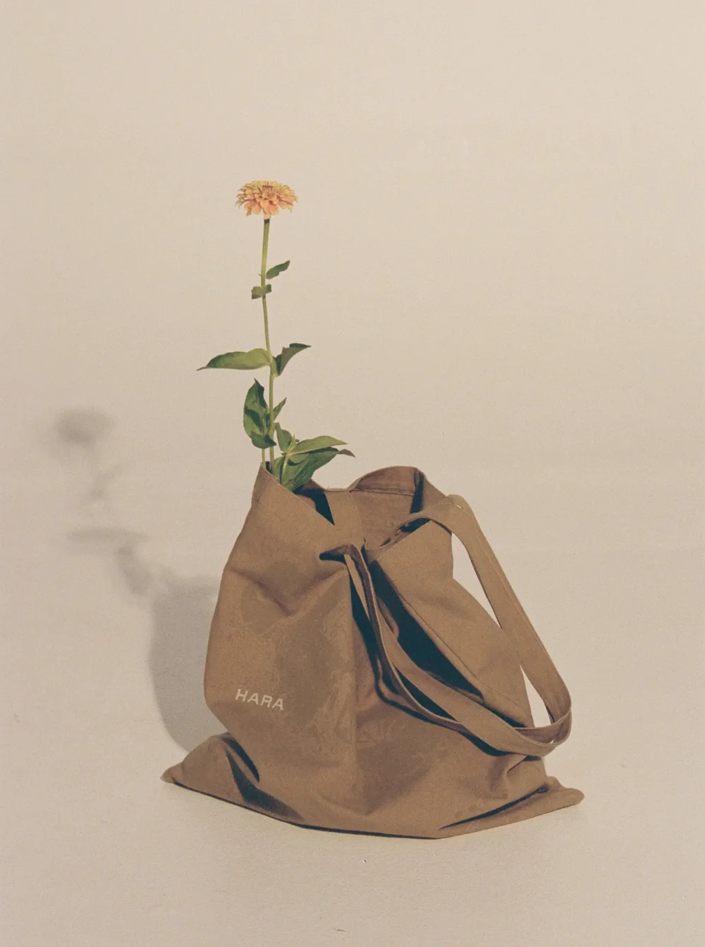 Butterfly Tote Clay