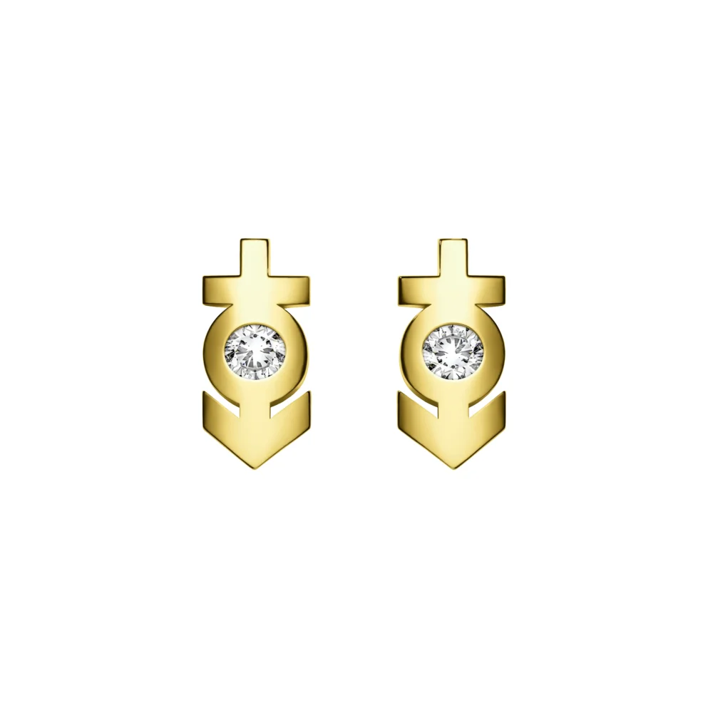 ⚥ Studs Earring with Stone