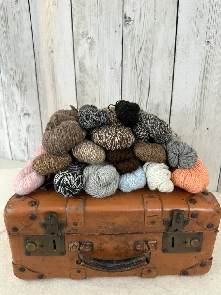 Shalimar Alpaca Yarn (4oz)