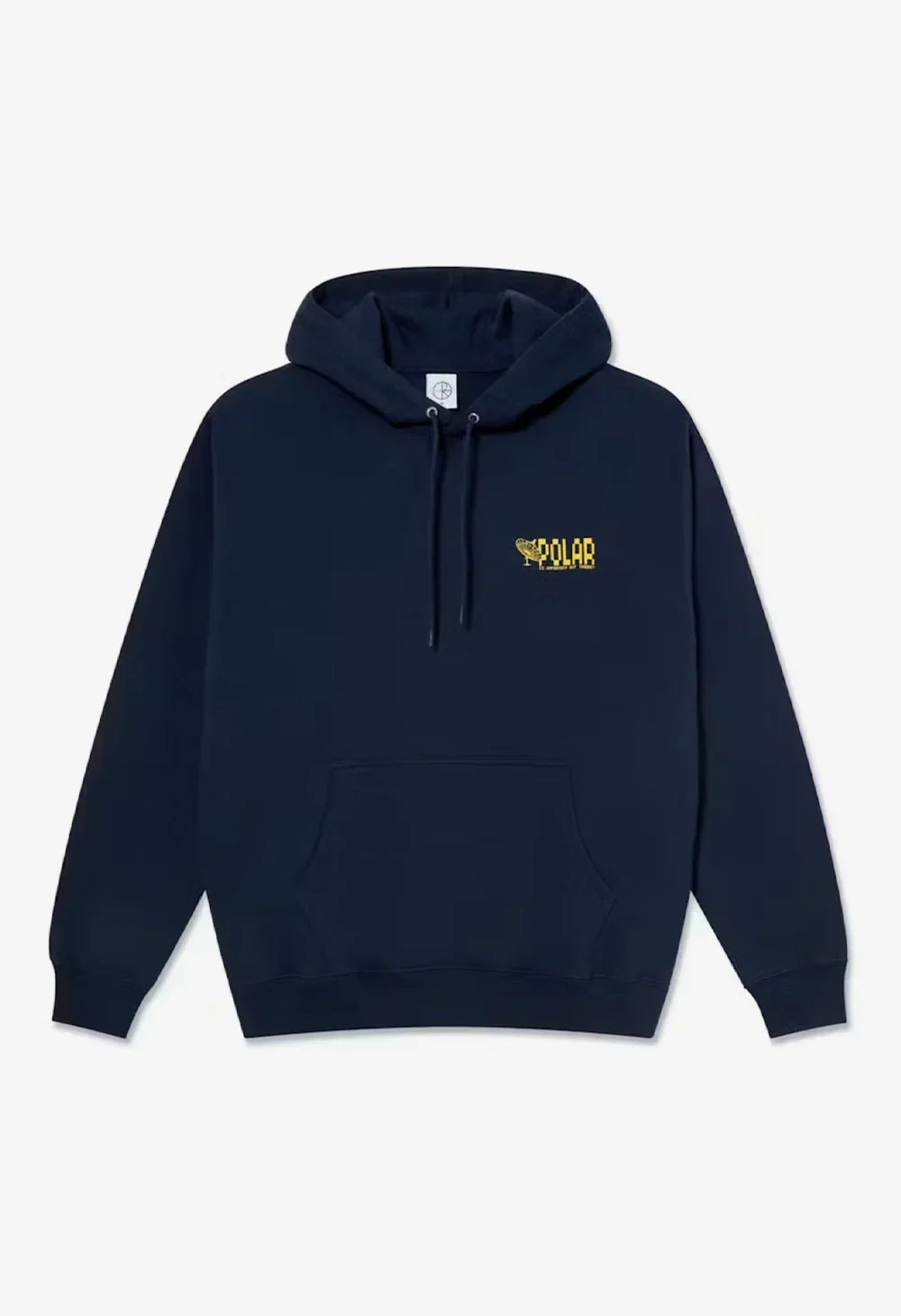 POLAR Anyone out there Hoodie