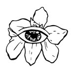 Iris Denim