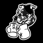 Knuckle Therapy