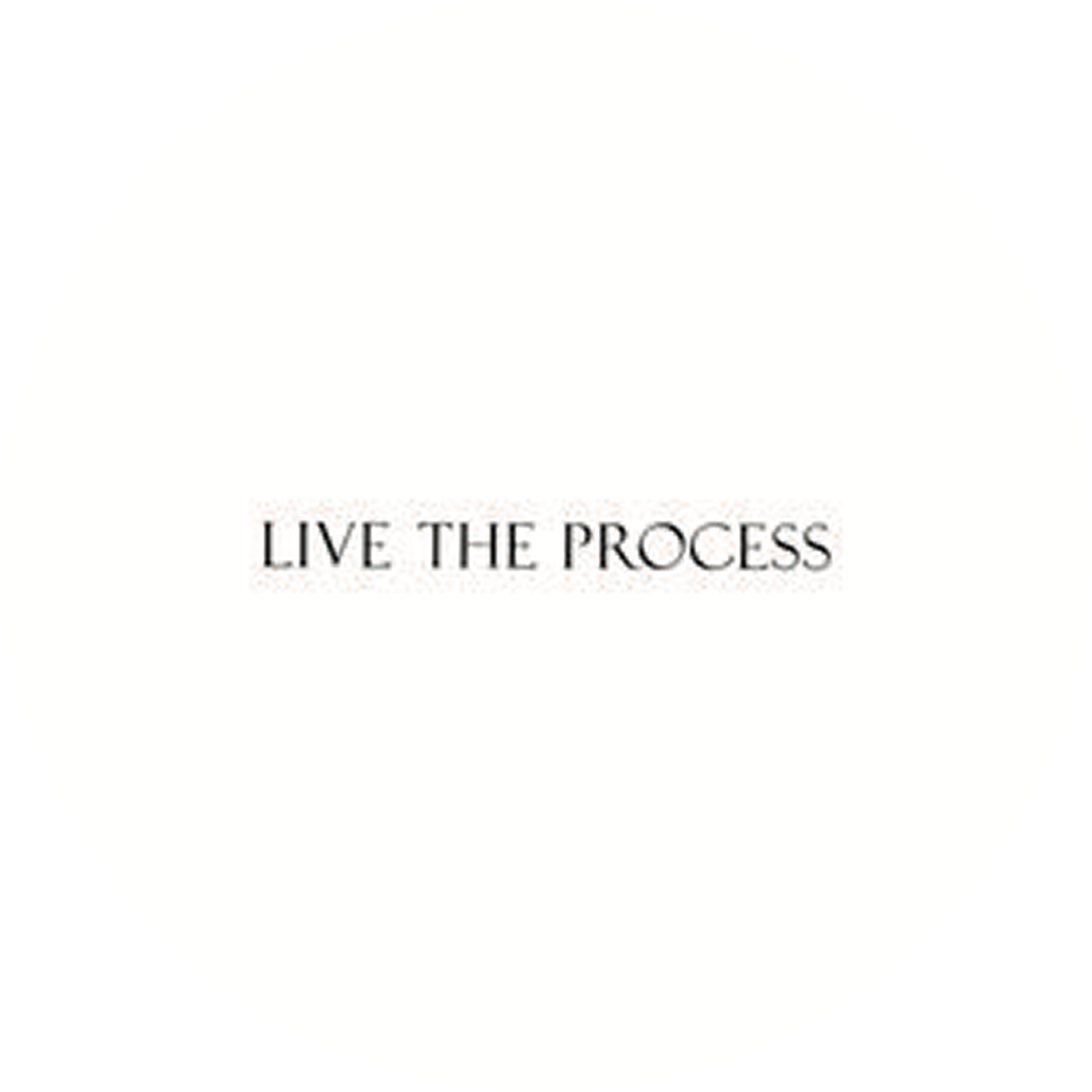 Live The Process