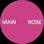 Main Rose