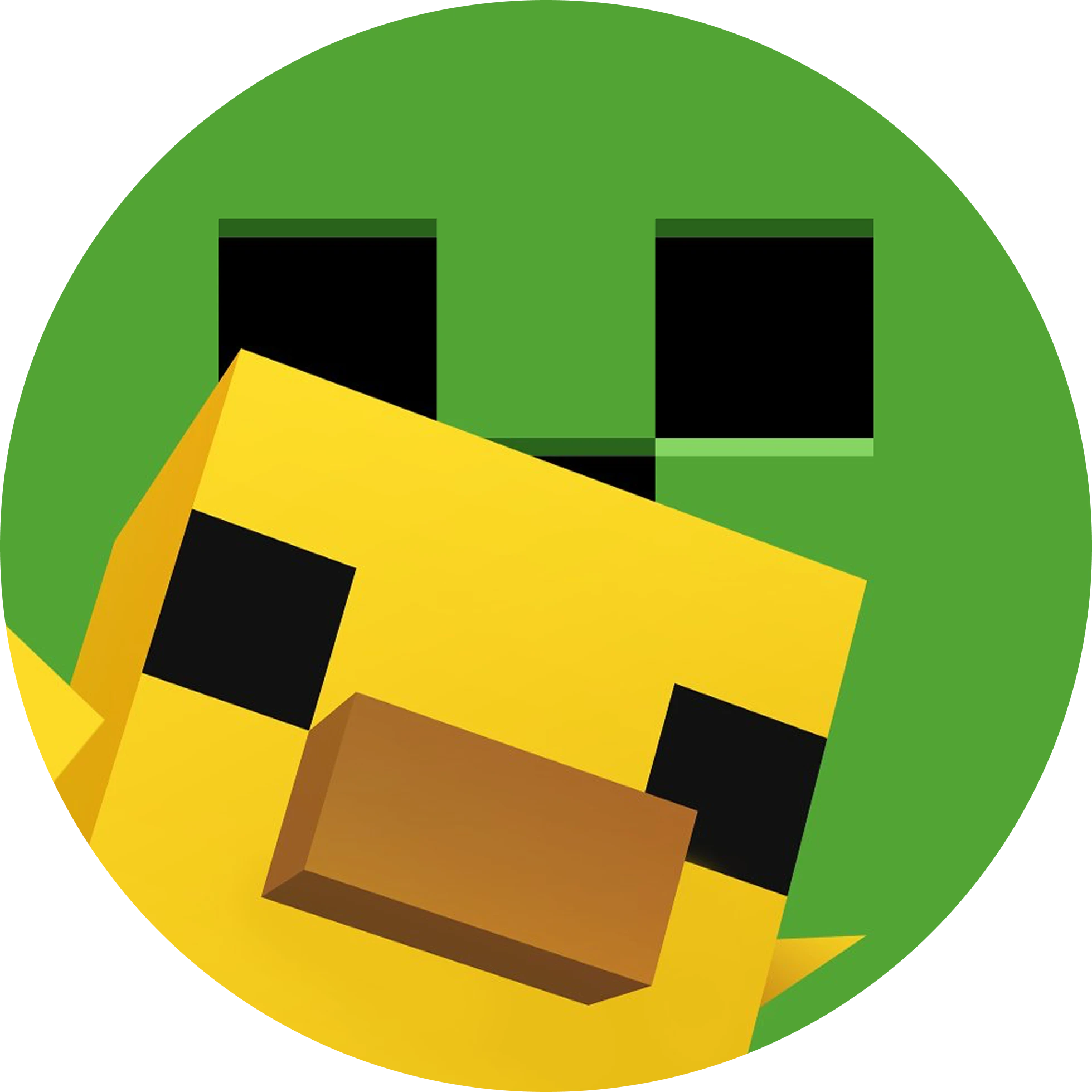 Minecraft Shop