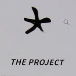 Project Diversion