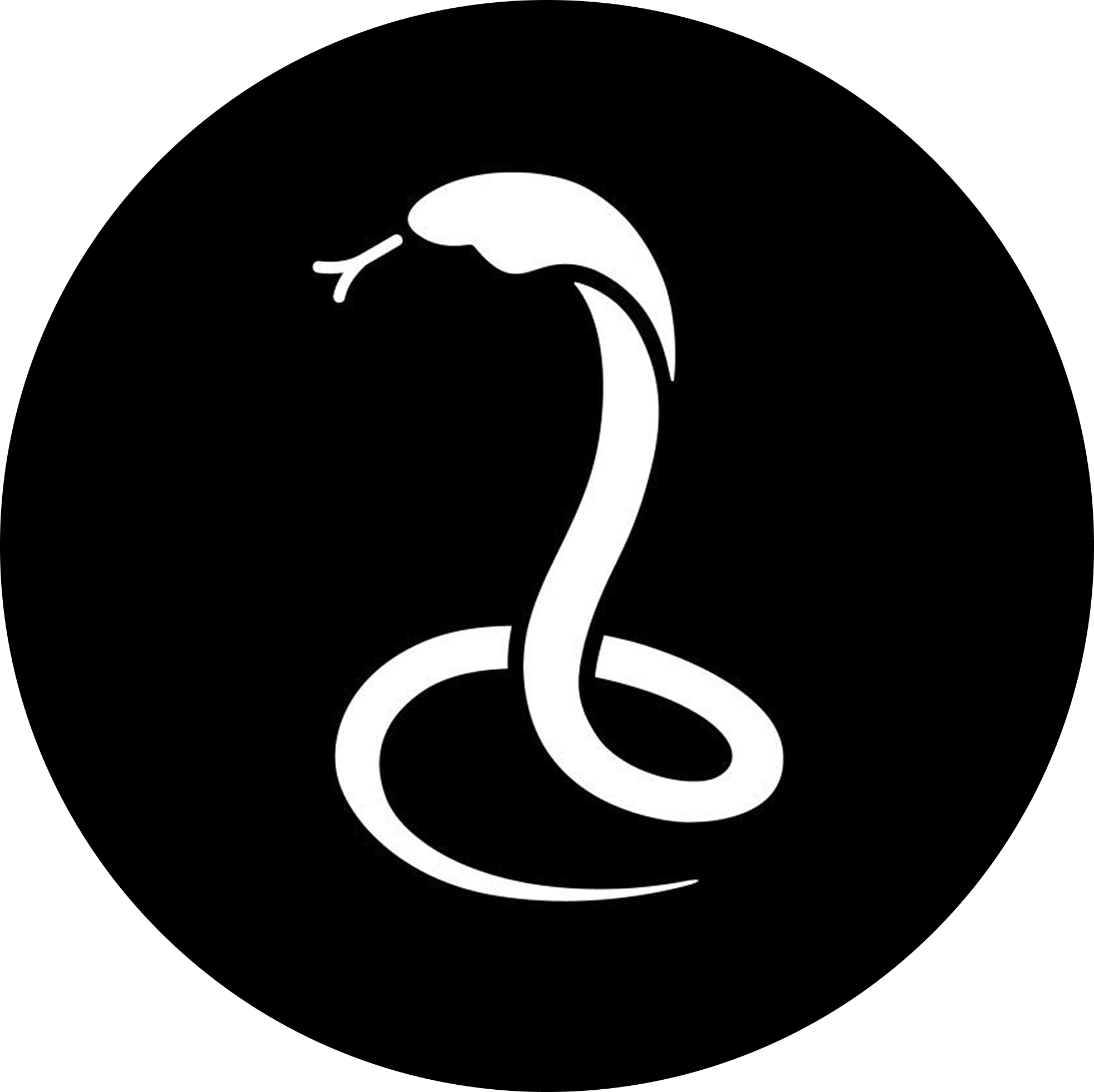 The Snake Hole