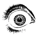 Vivid Visions