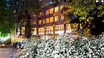 3.5 Sterne Hotel Hotel Domicil Hamburg by Golden Tulip common_terms_image 1