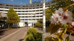 4 Sterne Hotel Sauerland Stern Hotel common_terms_image 1