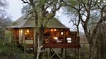 5 Sterne Hotel Hamiltons Tented Camp common_terms_image 1