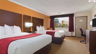 Ramada by Wyndham Tampa Airport Westshore common_terms_image 3