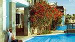 Aldemar Royal Mare Thalasso Resort common_terms_image 1