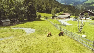 Österreich - Familien- und Kinderclubhotel Wolkensteinbär common_terms_image 4