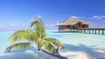Malediven - 4*Medhufushi Island Resort common_terms_image 1