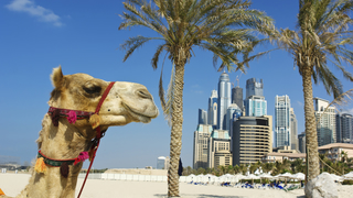 Vereinigte Arabische Emirate - Dubai - 4* Millennium Place Barsha Heights common_terms_image 3