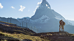 Schweiz – Erlebnisreise Oberwallis inkl. Furka Dampfbahn common_terms_image 1