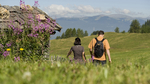 Seiser Alm - Trekkingreise in Südtirol common_terms_image 1