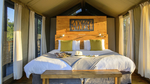Südafrika – Luxus-Camping in der Krüger-Region  common_terms_image 1
