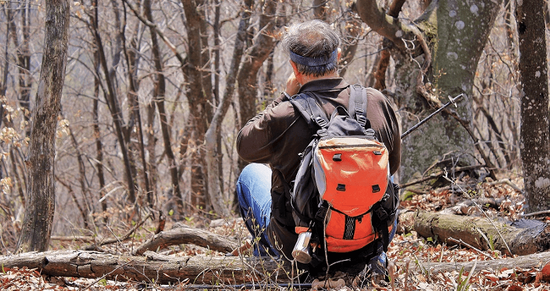 Avertissement à tous les randonneurs de la forêt de Bandipur