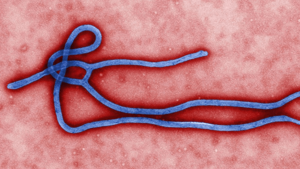 Jak rozprzestrzenia się Ebola: Tragedia jednego lekarza