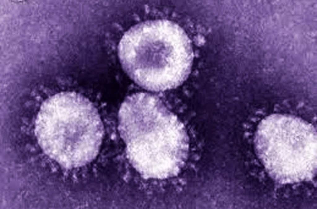 MERS-coronavirus i Sydkorea - Vad är det?