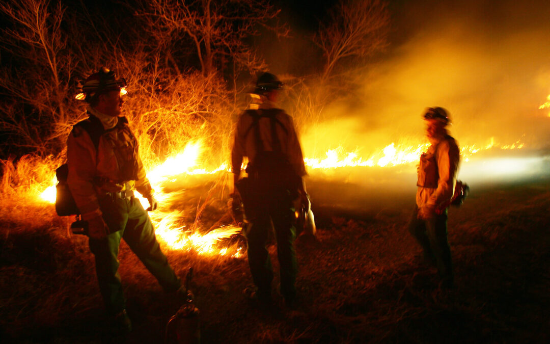 Relatório Situacional em curso: Ondas de Calor e Incêndios na Europa