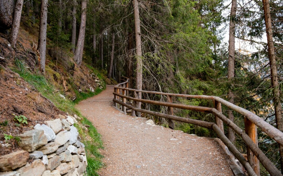 Wie man einen nachhaltigen und umweltfreundlichen Urlaub plant