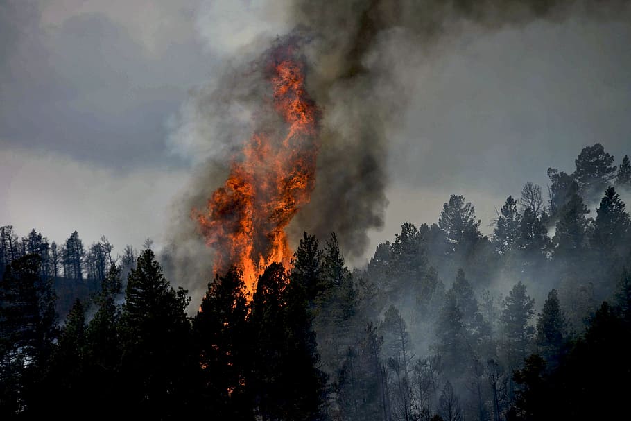 Incêndios florestais na Sibéria - 2023