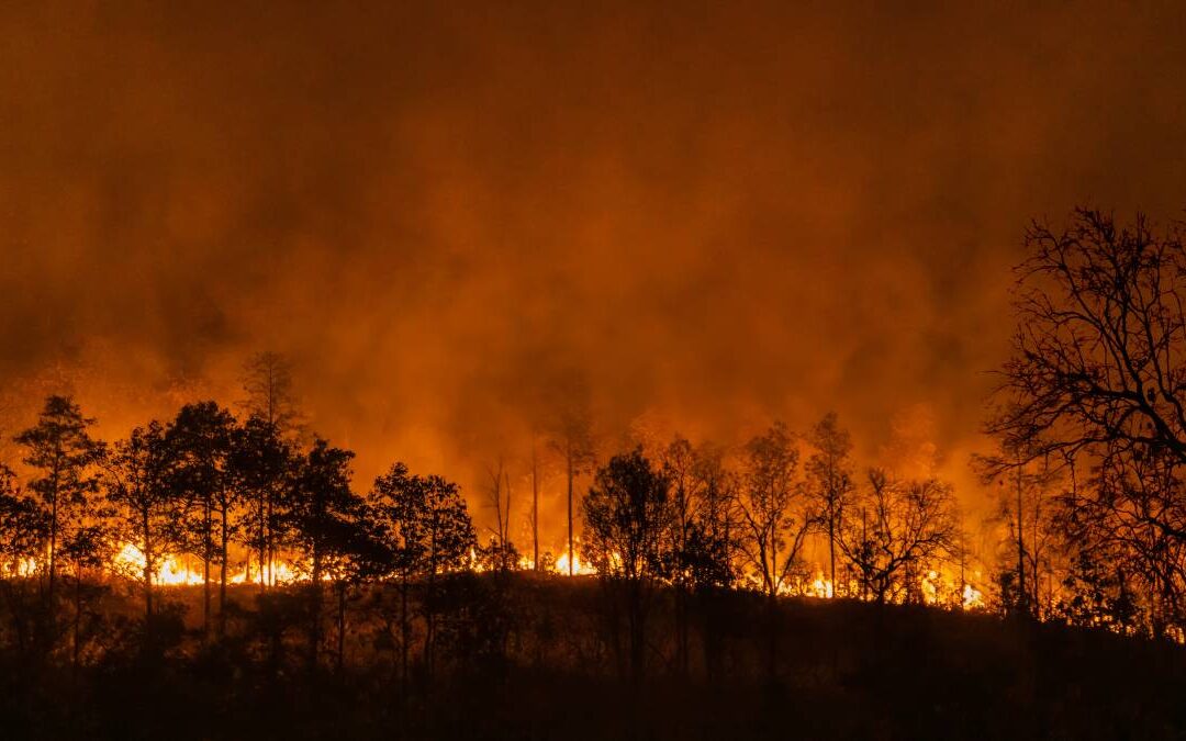 Austrália em alerta máximo devido aos incêndios florestais