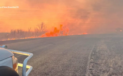 Incendii masive de vegetație în Texas