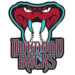 Boston Diamondbacks logo