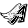 Mill City Angels logo