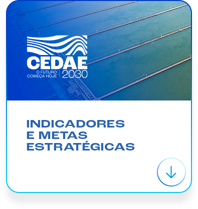 Indicadores de Metas Estratégicas - Ano 2025