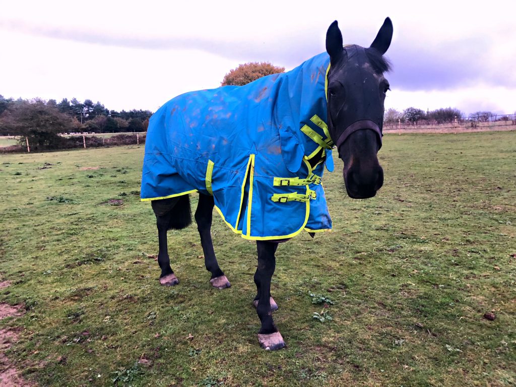 I Need This Bucas Power Cooler In Orange Amazing Cooler High Performance Cool Rugs