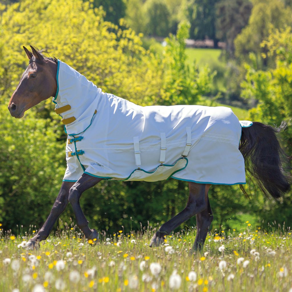 shires-tempest-plus-sweet-itch-combo-fly-rug