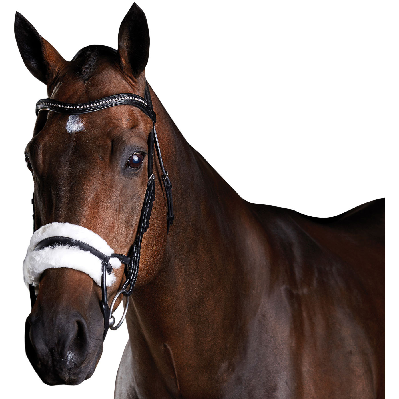 Collegiate ComFiTec Sheepskin Bridle