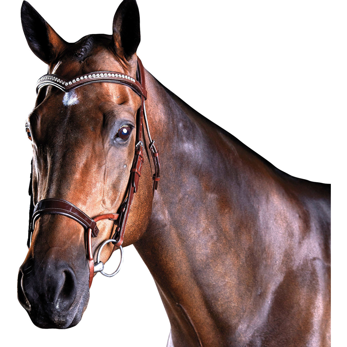 Collegiate ComFiTec Patent Snaffle Bit
